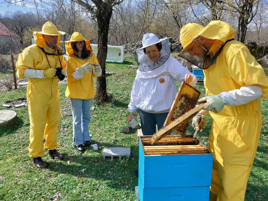 Pčelarstvo Kovačević