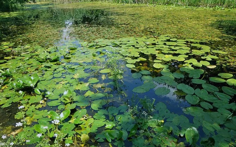 Deset zanimljivosti koje možda niste znali o gradovima i opštinama&nbsp;BiH